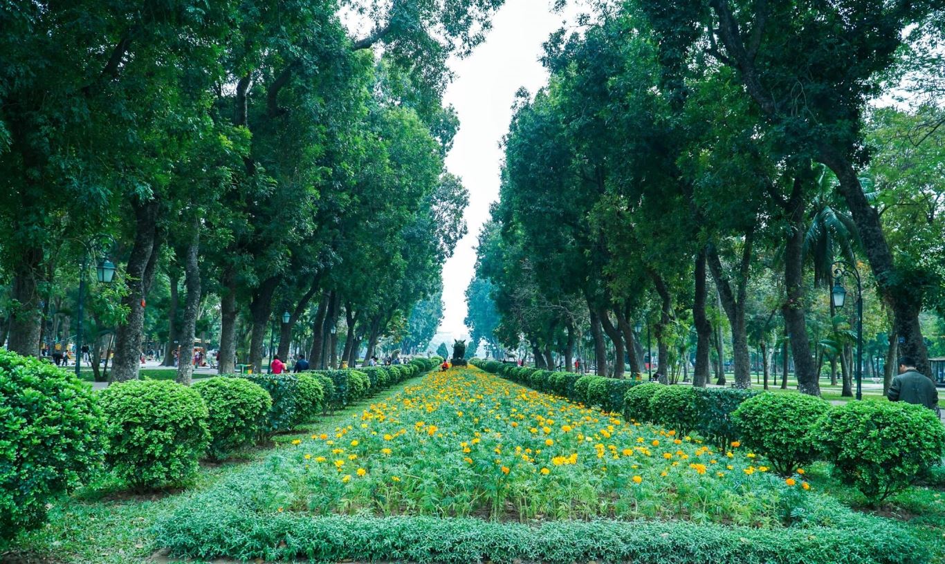 giải pháp làm giảm ô nhiễm không khí