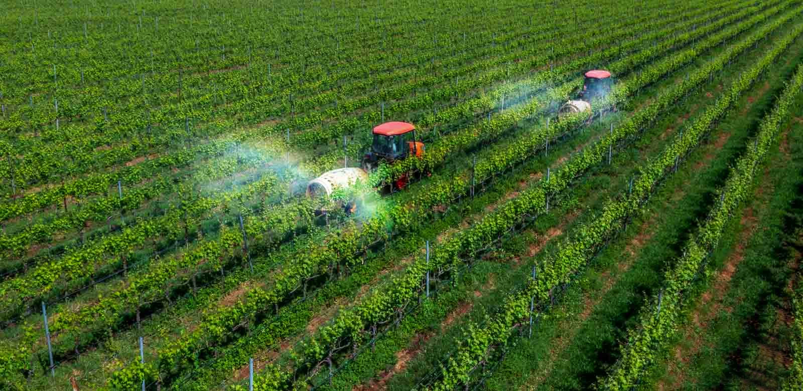 Giảm phát thải khí nhà kính