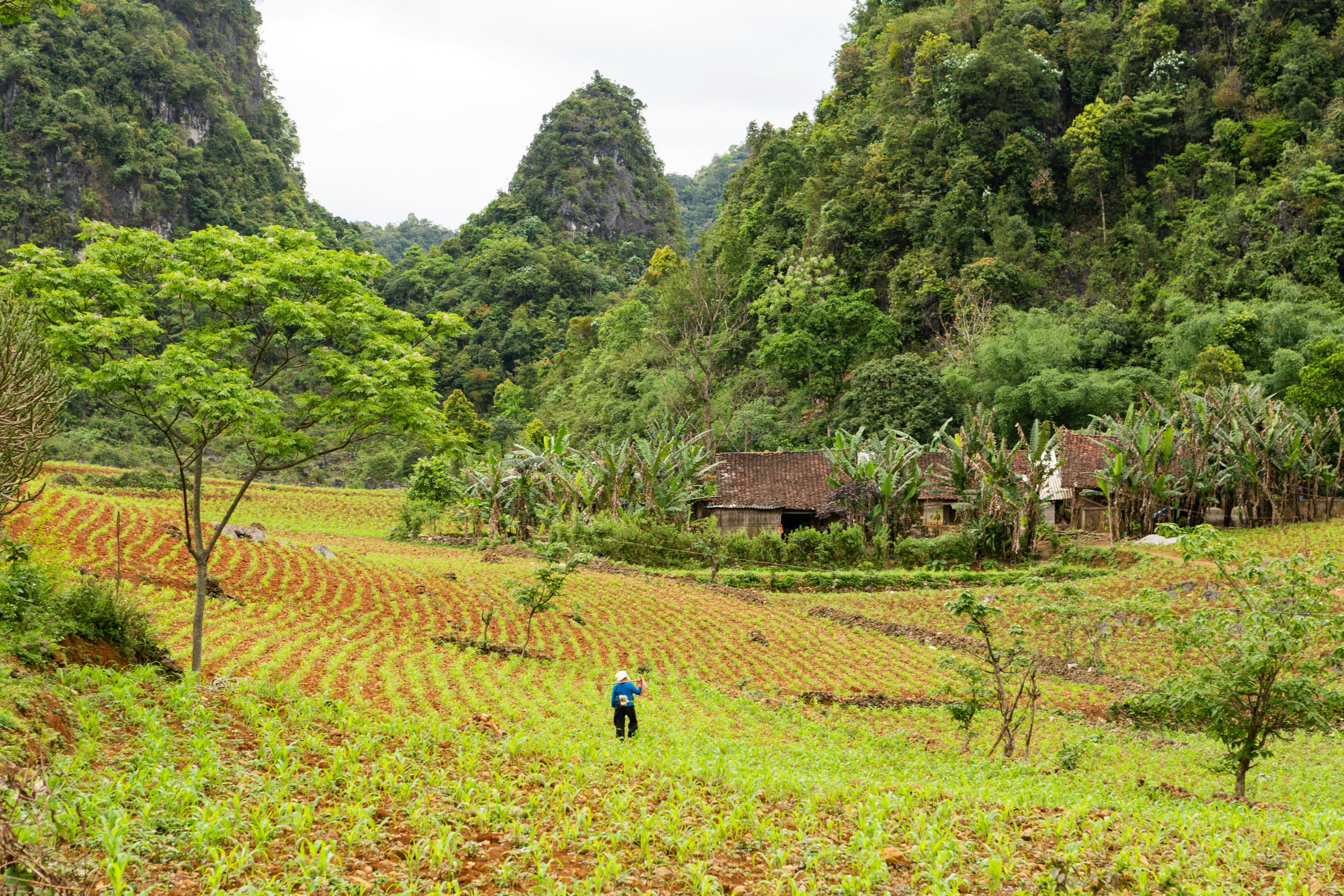 biện pháp giảm phát thải khí nhà kính trong nông nghiệp