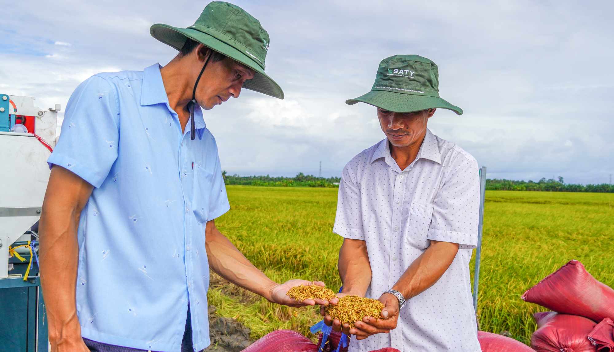 dự án lúa giảm phát thải