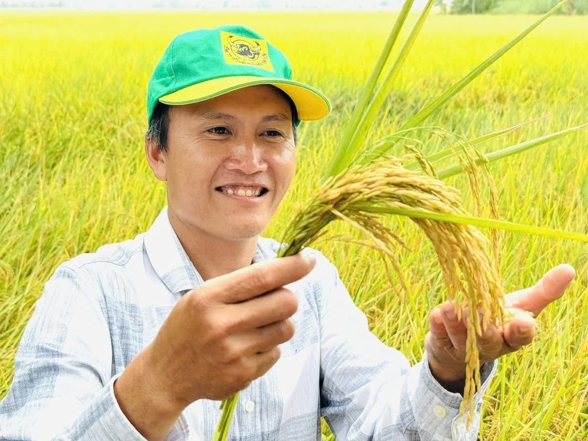 lúa giảm phát thải là gì