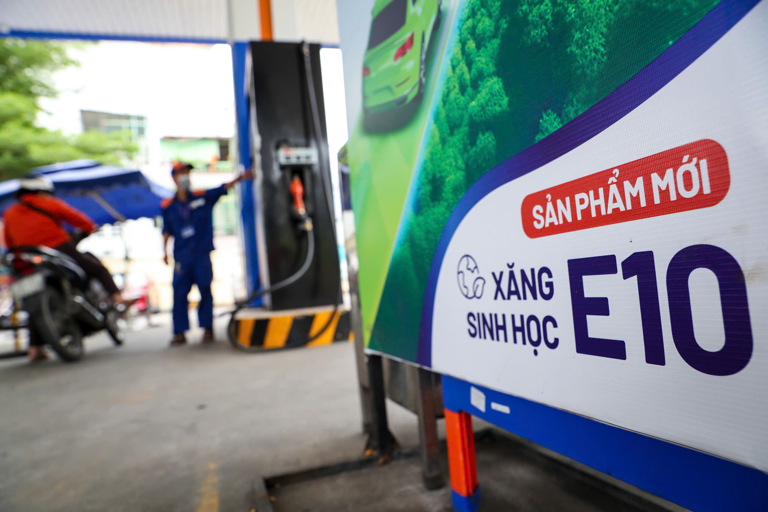 triển khai xăng sinh học