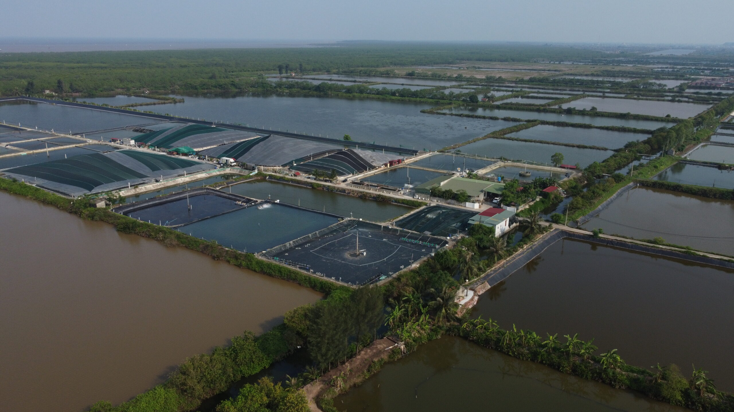 giải pháp cho kinh tế tuần hoàn tại Việt Nam