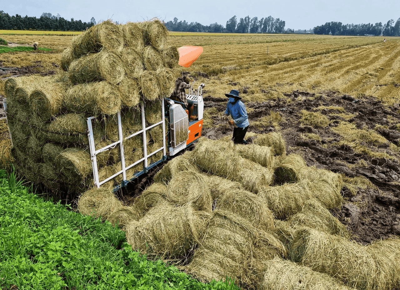 pháp luật về kinh tế tuần hoàn trong nông nghiệp