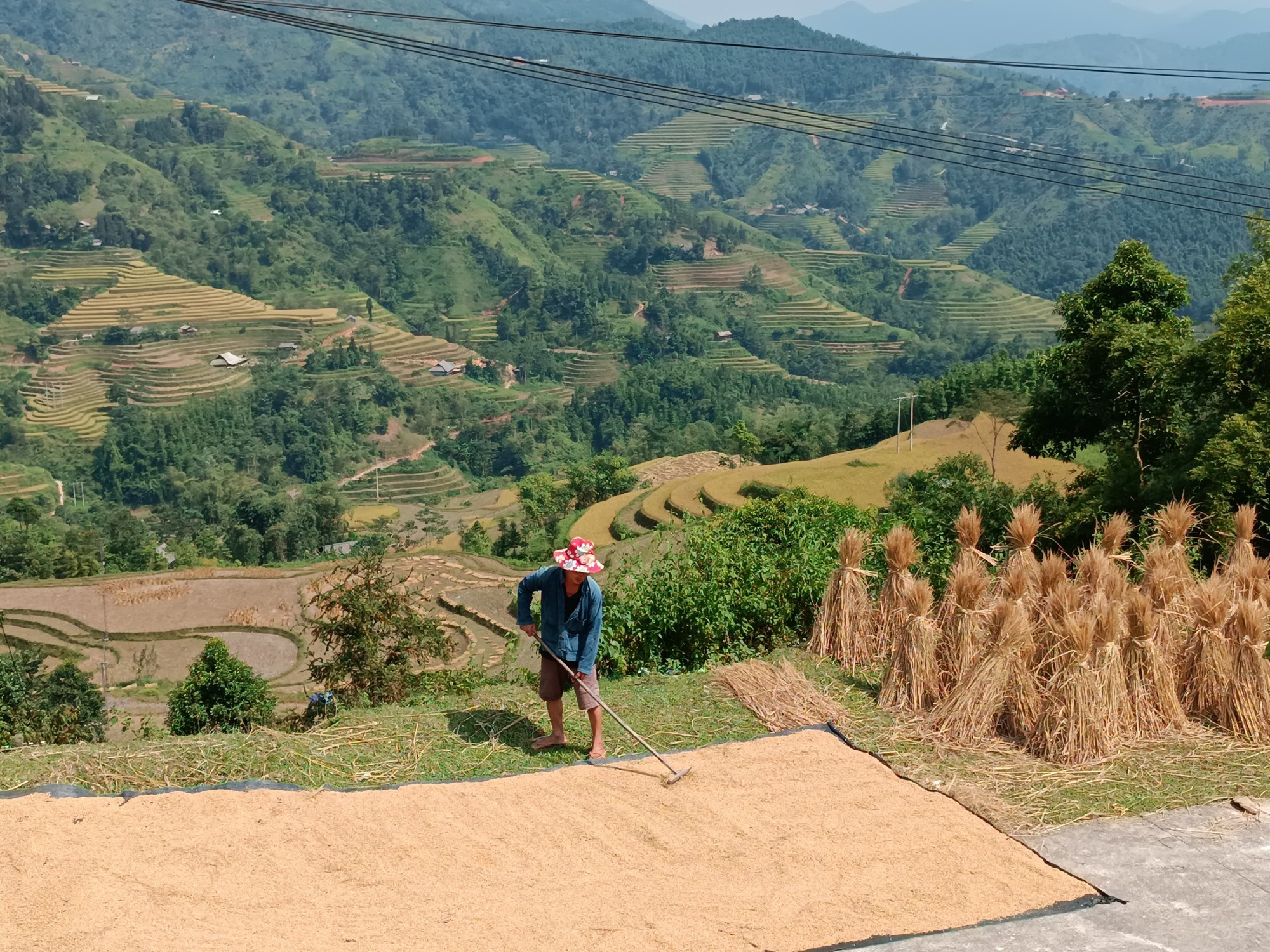 đặc điểm nông nghiệp hữu cơ