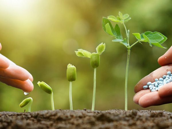 phân bón sinh học