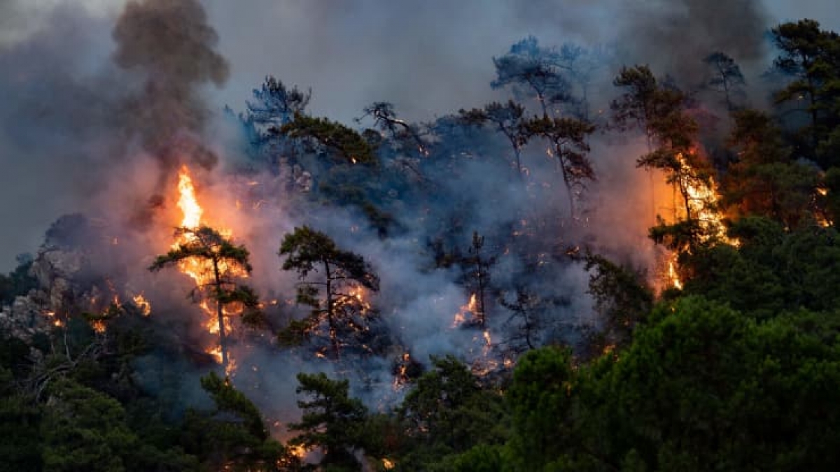 biến đổi khí hậu