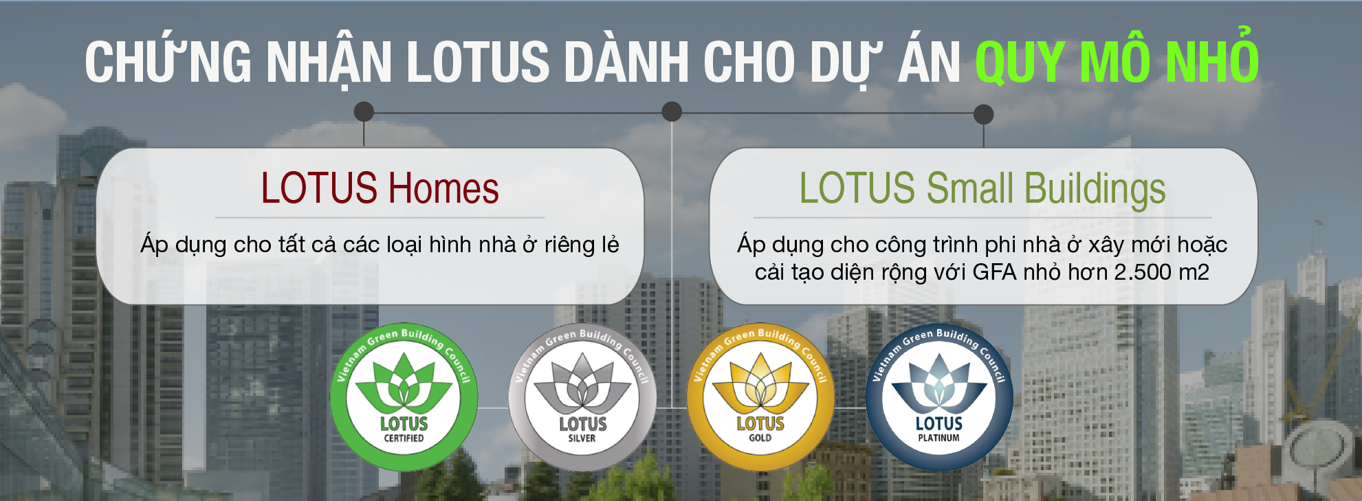 chứng chỉ LOTUS