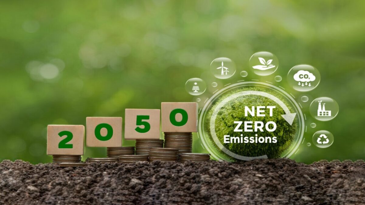Net zero
