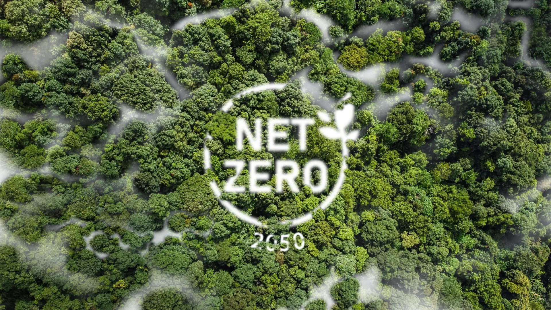 net zero việt nam