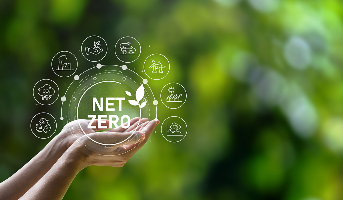 net zero việt nam