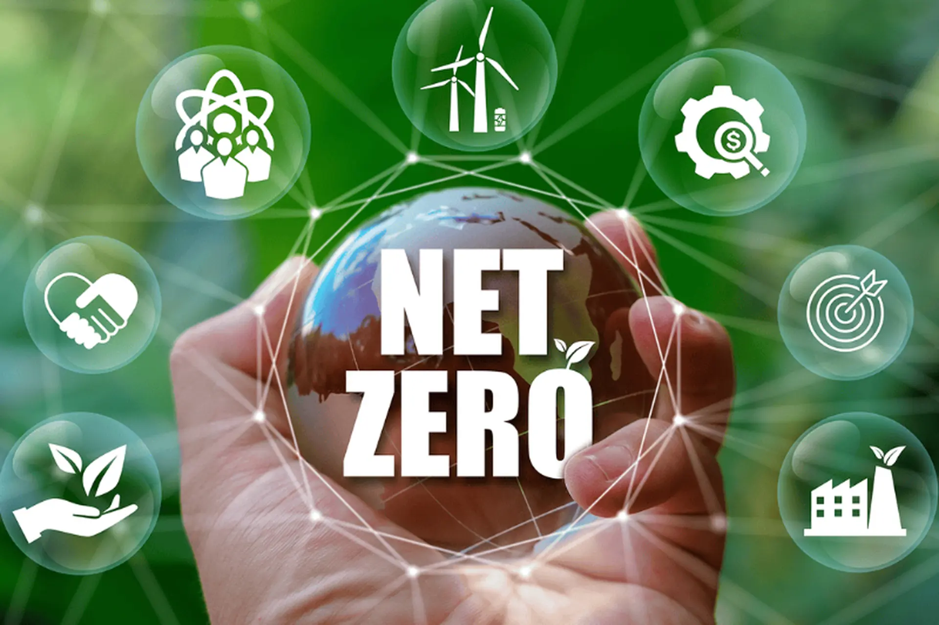 net zero việt nam