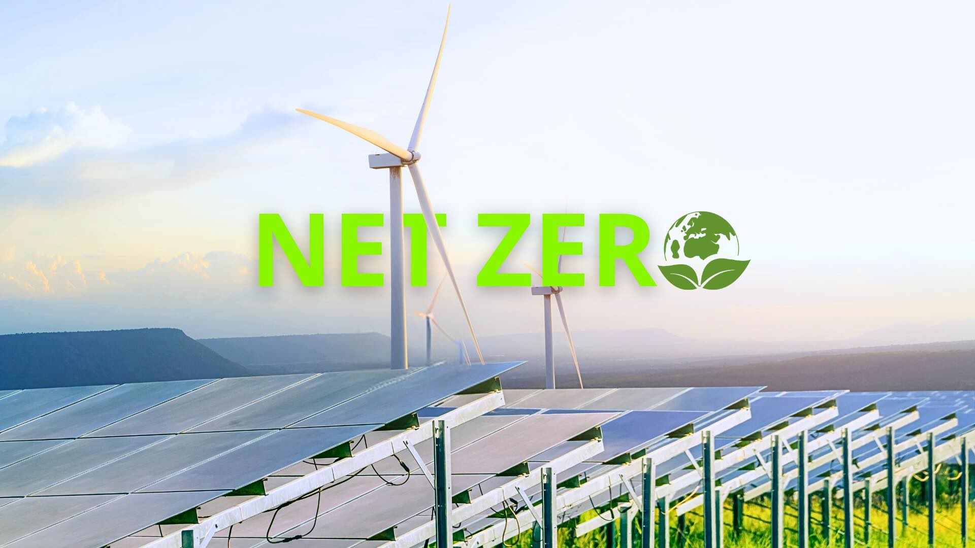 net zero việt nam