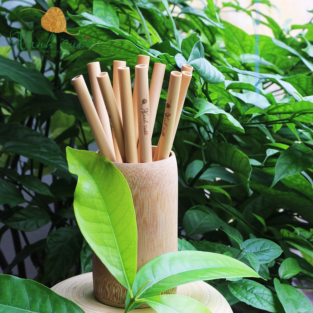 ống hút tre 