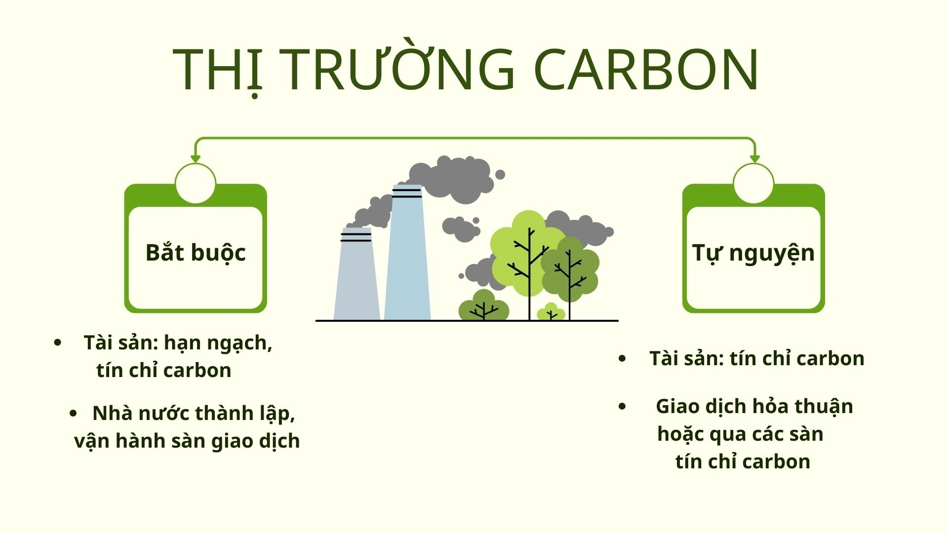 thị trường carbon bắt buộc