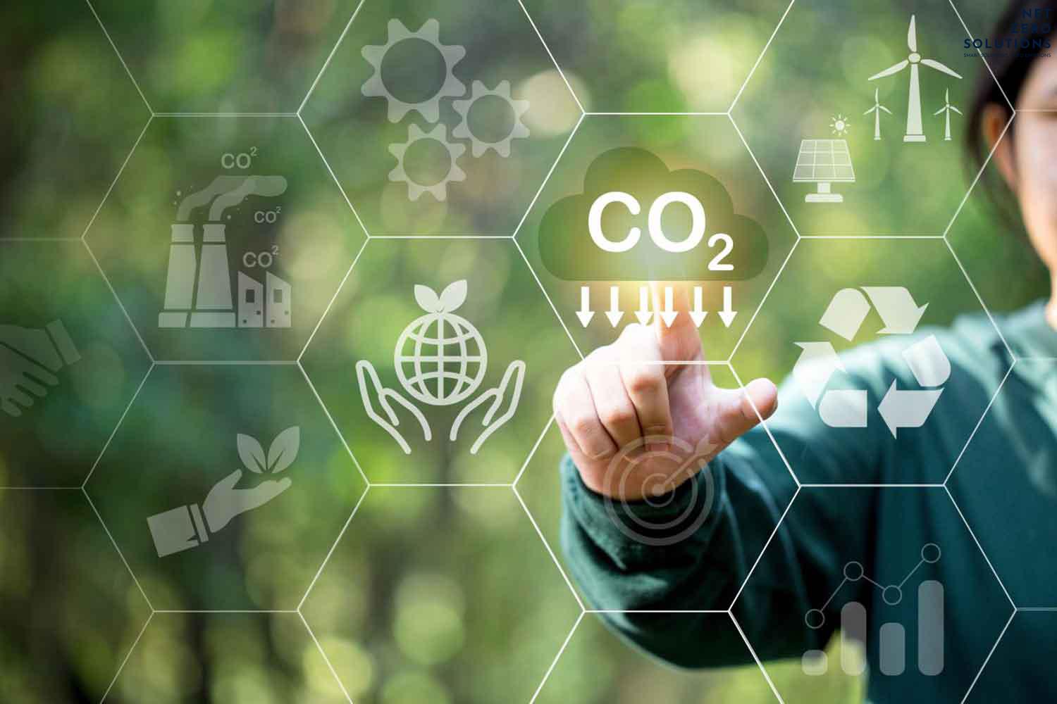 tham gia thị trường Carbon Tự nguyện