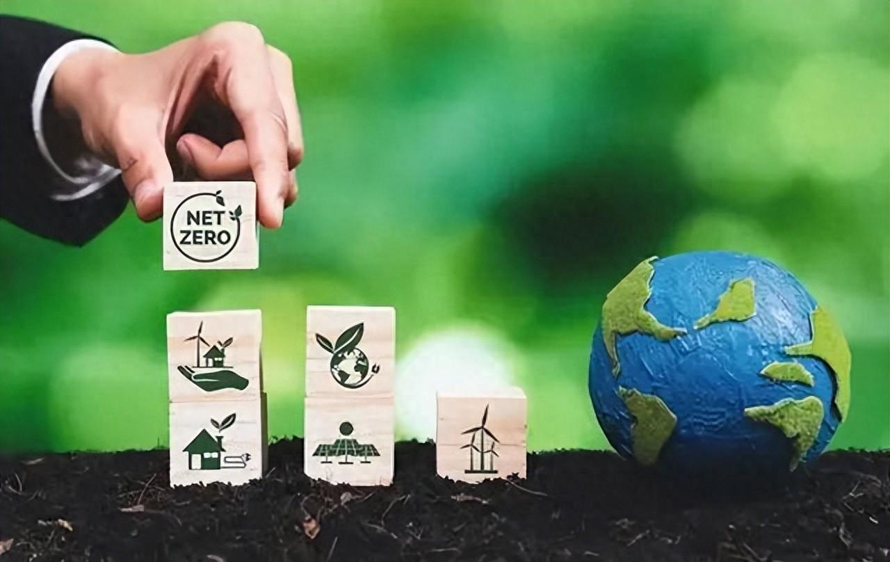 dự án thị trường Carbon Tự nguyện