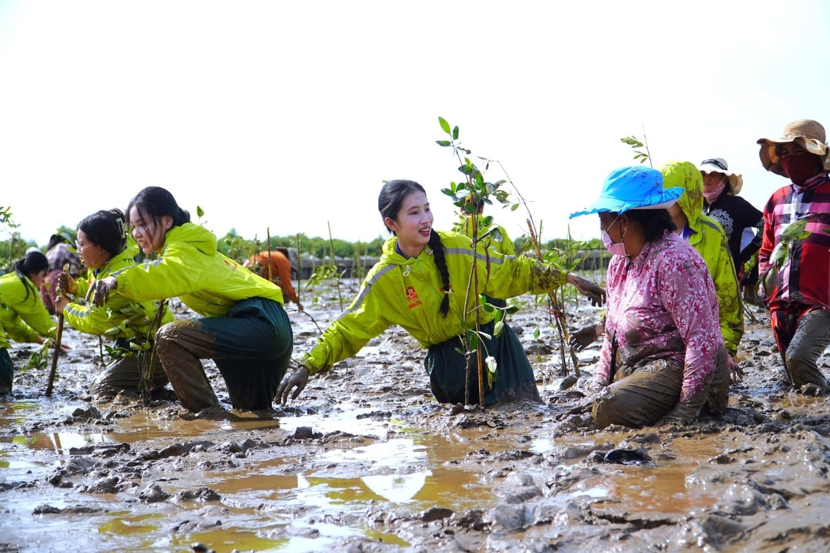 ứng phó với biến đổi khí hậu