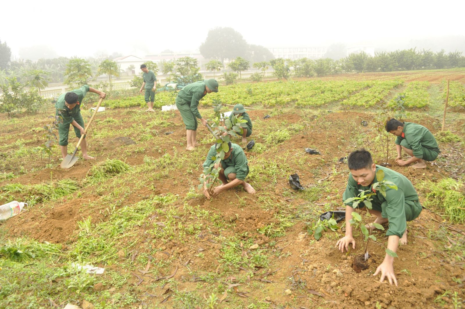bảo vệ môi trường đất