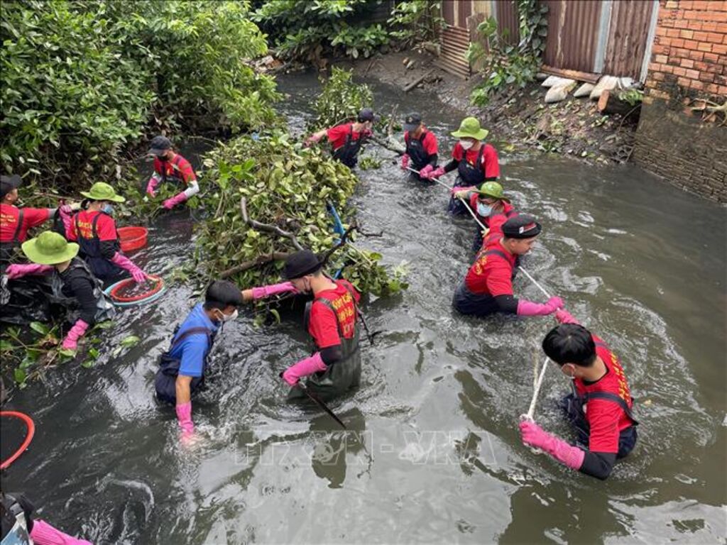 các hành động bảo vệ môi trường