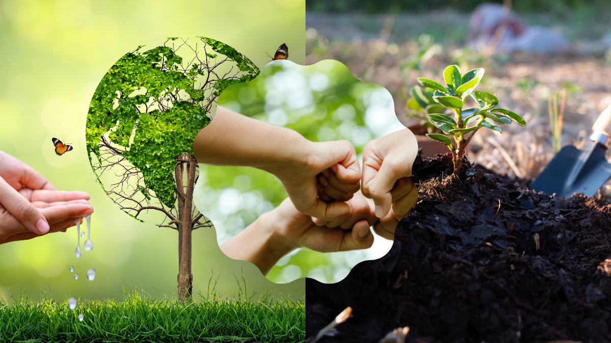 dự án bảo vệ môi trường