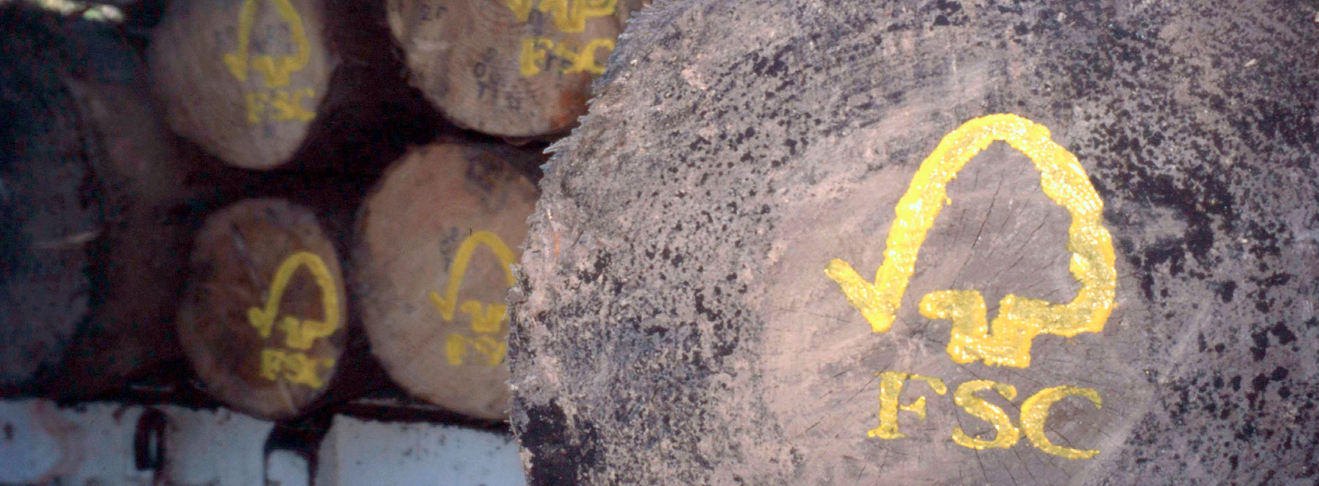 FSC là gì