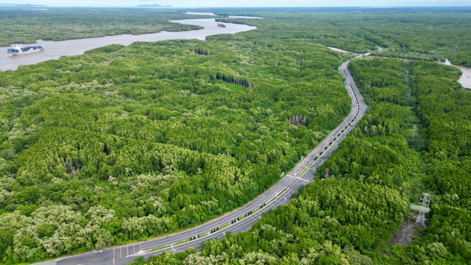 1 ha rừng được bao nhiêu tín chỉ carbon?