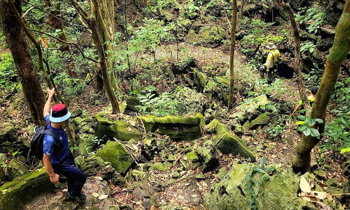 1 ha rừng được bao nhiêu tín chỉ carbon?