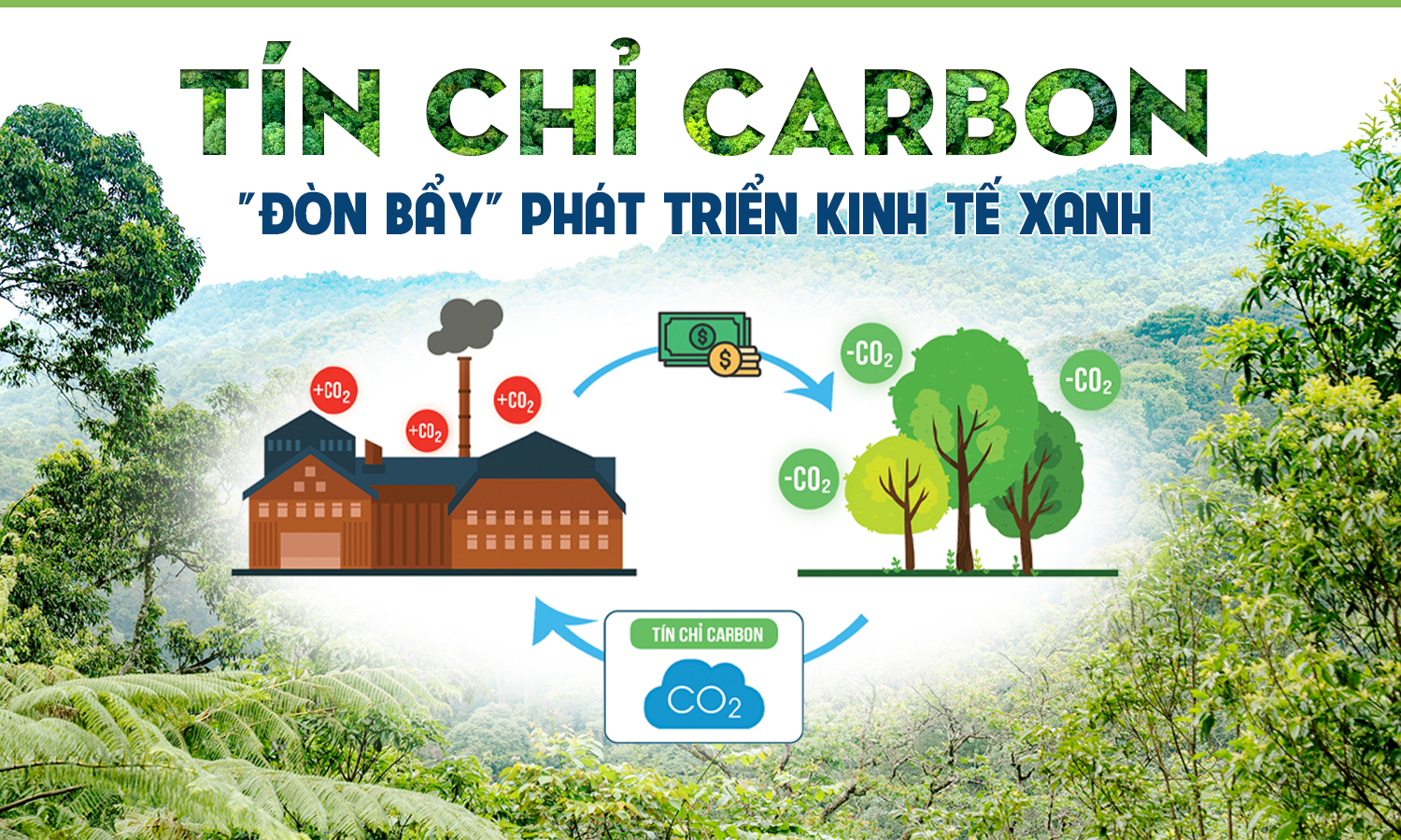 tín chỉ carbon